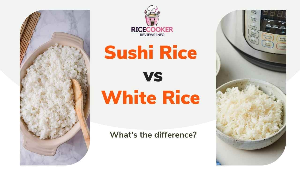 Sushi Rice VS White Rice